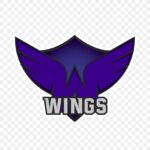 Wings001